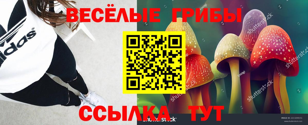 Галлюциногенные грибы Psilocybine cubensis Кудымкар
