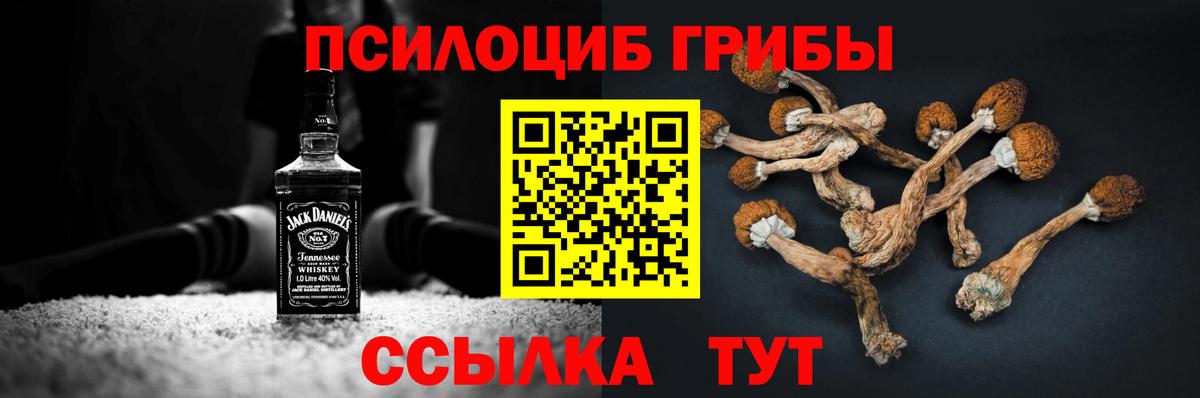 Кудымкар  Галлюциногенные грибы Cubensis  Галлюциногенные грибы GOLDEN TEACHER  Вход с VPN 